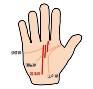 土星丘直紋|【手相占い】中指の下（土星丘）の意味や見方は？縦線・横線に。